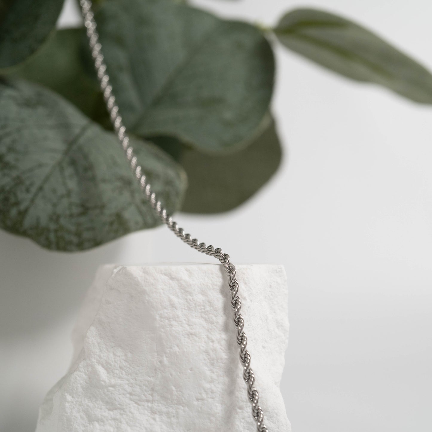 Stainless Steel Rope Chain Necklace / CHN9700