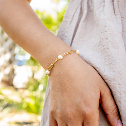 18K Gold PVD Stainless Steel Station Pearl Paperclip Bracelet / BRJ1023