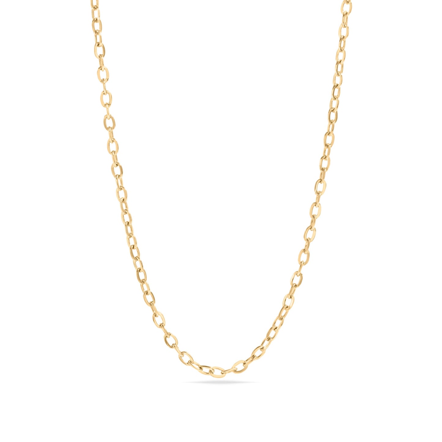18K Gold PVD Stainless Steel PVD Coated Loop/Cable Chain Necklace / CHN3011