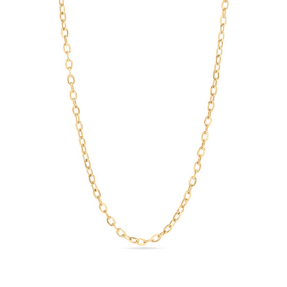 18K Gold PVD Stainless Steel PVD Coated Loop/Cable Chain Necklace / CHN3011