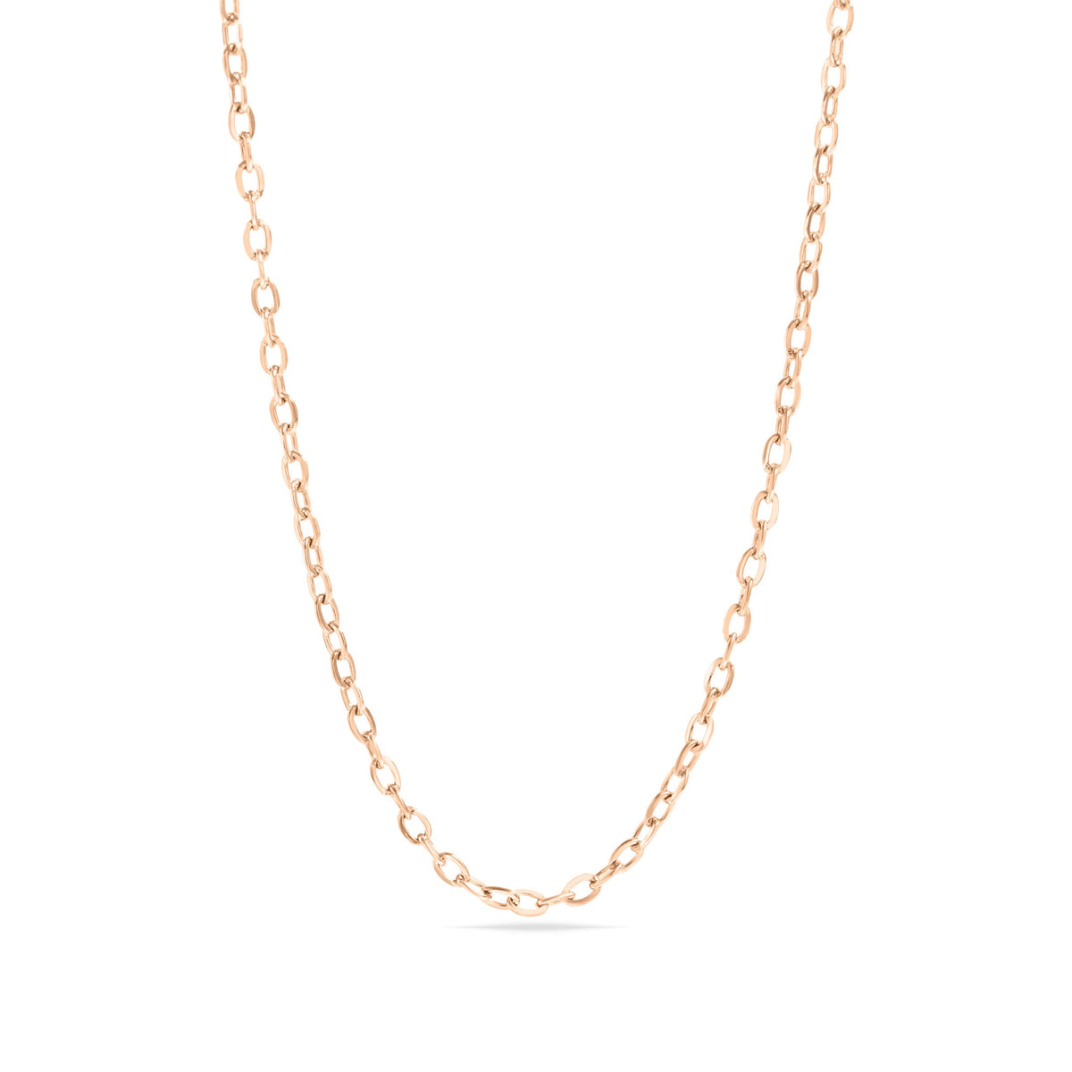 18K Gold PVD Stainless Steel PVD Coated Loop/Cable Chain Necklace / CHN3011