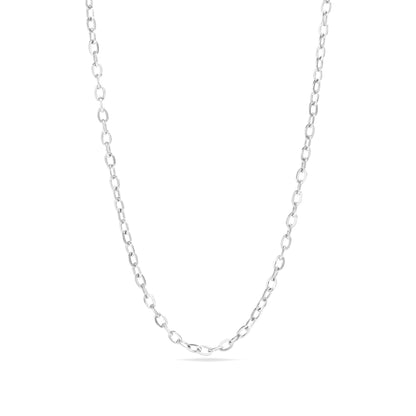 18K Gold PVD Stainless Steel PVD Coated Loop/Cable Chain Necklace / CHN3011