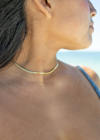 18K Gold PVD Stainless Steel Herringbone Chain Necklace / CHN9771