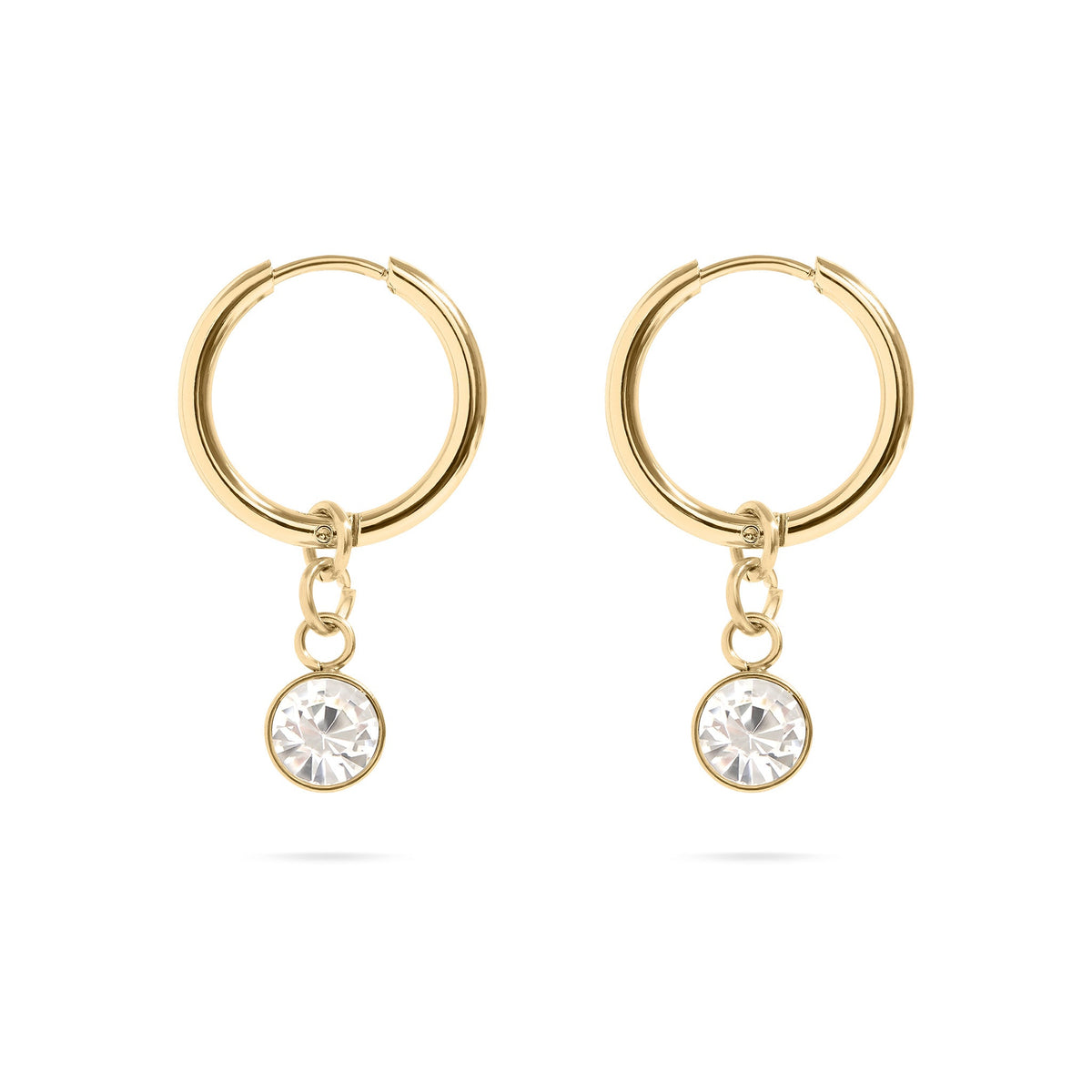 18K Gold PVD Birthstone Huggie Earrings / ERJ0074