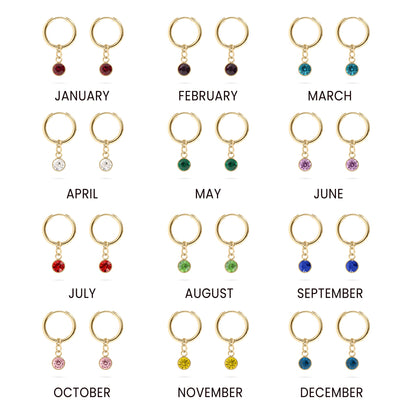 18K Gold PVD Birthstone Huggie Earrings / ERJ0074