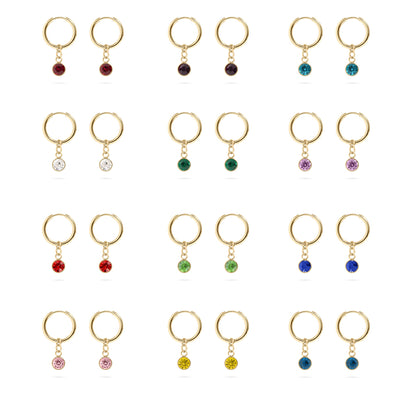 18K Gold PVD Birthstone Huggie Earrings / ERJ0074
