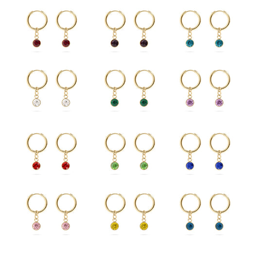 18K Gold PVD Birthstone Huggie Earrings / ERJ0074