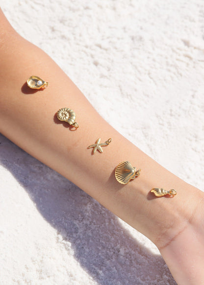 18K Gold PVD Stainless Steel Seashell Charm / PDL0190