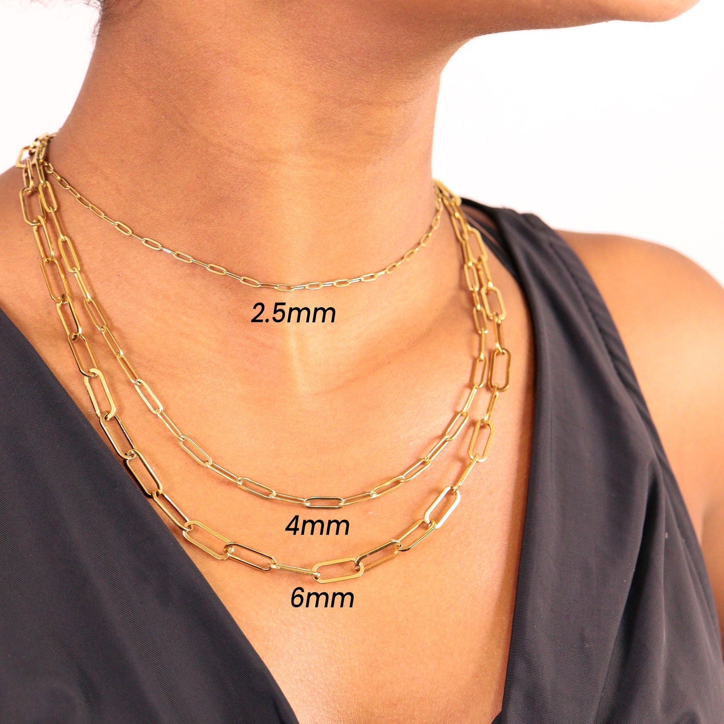 18K Gold PVD Stainless Steel Paperclip Chain Necklace / CHN9760