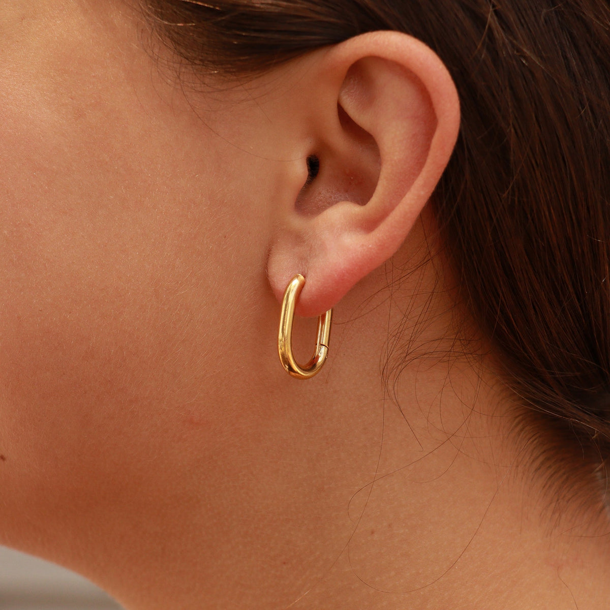 18K Gold PVD Stainless Steel Oval Huggie Earrings / ERJ0039