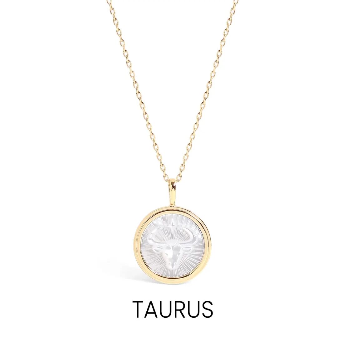 14K Gold Plated Sterling Silver Mother of Pearl Zodiac Pendant Necklace / SBB0354