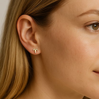 18K Gold PVD Stainless Steel Zodiac Stud Earrings / ERJ0059