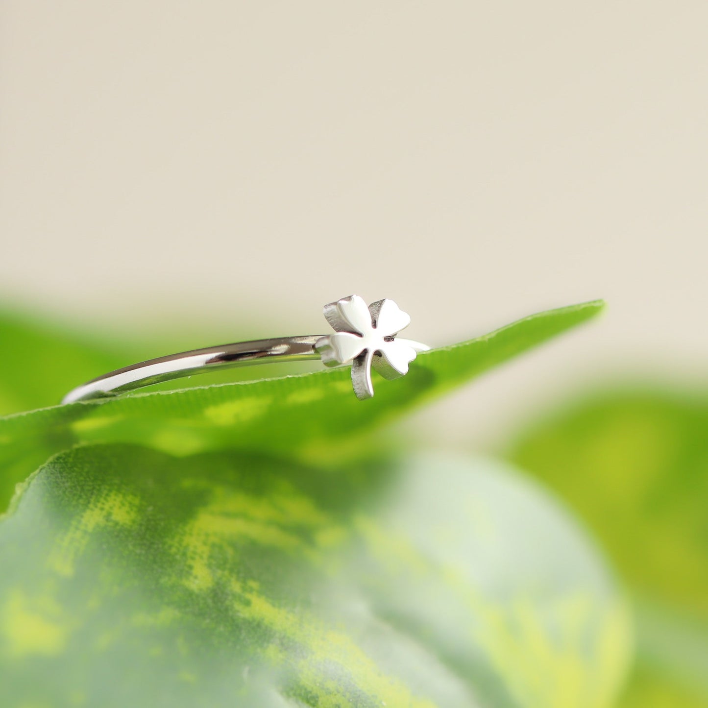 18K Gold PVD Stainless Steel Four Leaf Clover Symbol Ring / ZRJ0002