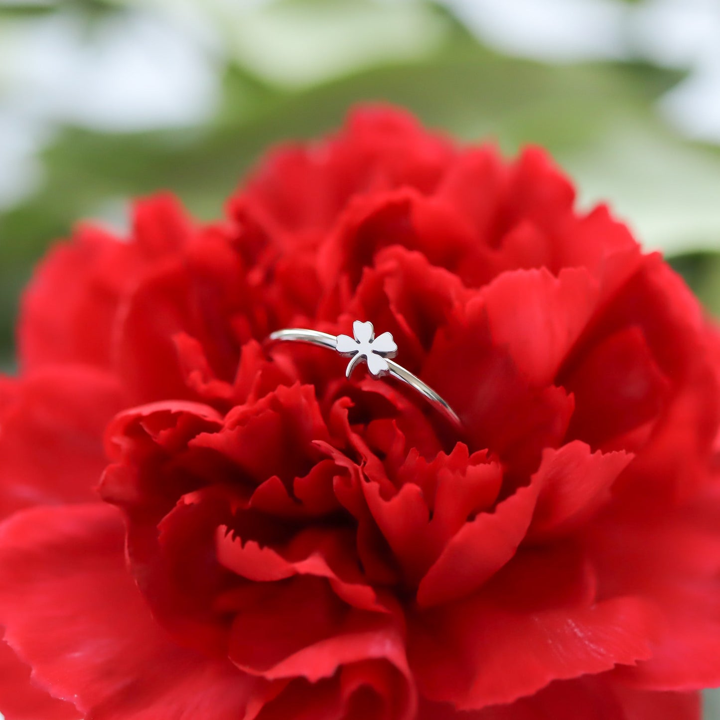 18K Gold PVD Stainless Steel Four Leaf Clover Symbol Ring / ZRJ0002