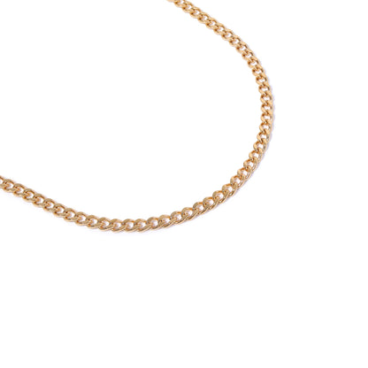 18K Gold PVD Stainless Steel Diamond Cut Curb Chain Necklace / CHN9710