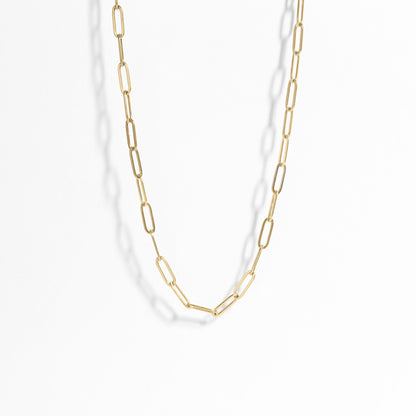 18K Gold PVD Stainless Steel Paperclip Chain Necklace / CHN9760